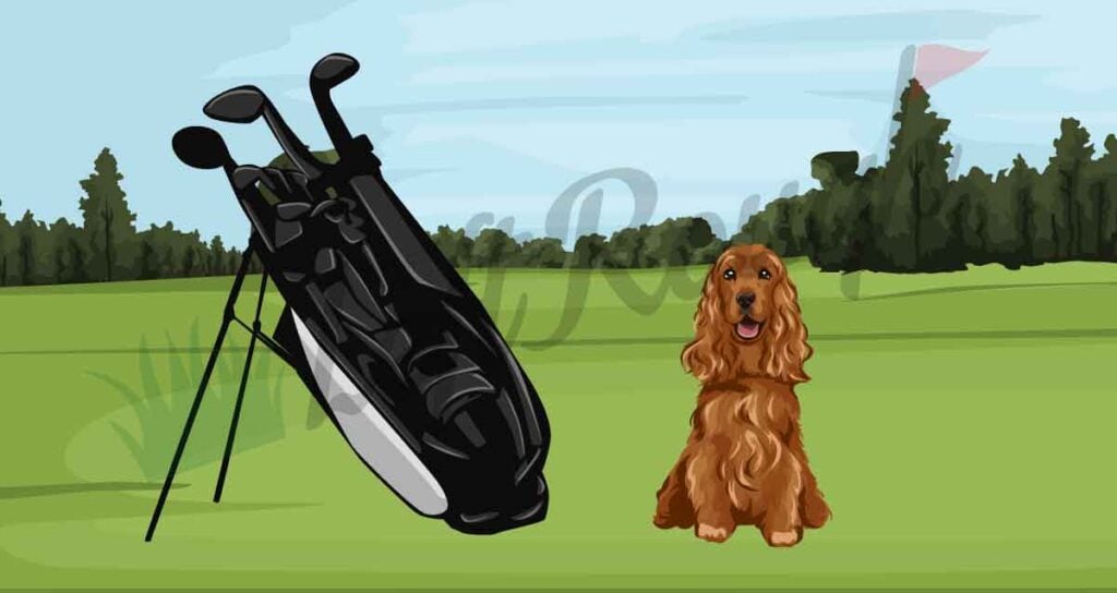 Dogfight in Golf